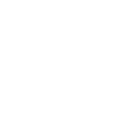 מנדלי מוכר ספרים ברשת